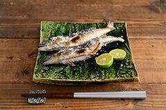 65歳以上のふたり以上世帯【貯蓄4000万円超】はどれほどいるのか。シニアの《暮らし・貯蓄・就業・年金》データで俯瞰