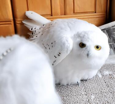 ぬいぐるみマスコット ふくろう鳥 鳥 ぬいぐるみ レトロ ふくろう