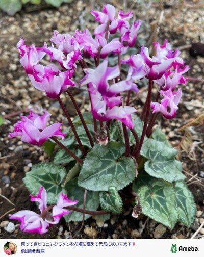 假屋崎省吾の公式ブログ投稿