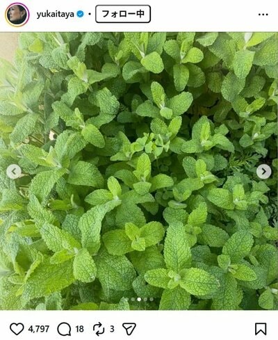 板谷由夏のInstagram投稿