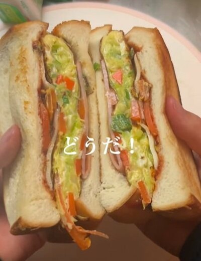 投稿動画のワンシーン