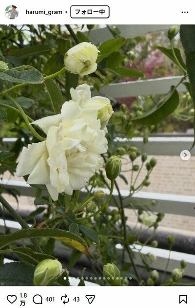 栗原はるみのInstagram投稿