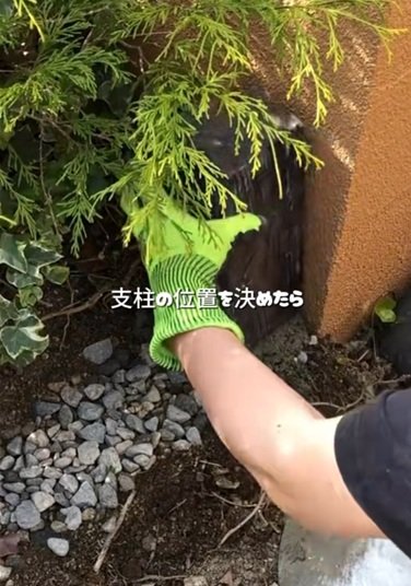 投稿動画のワンシーン