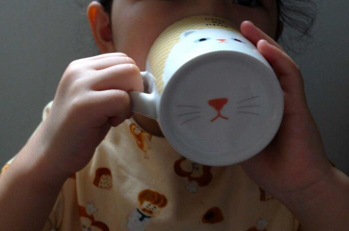 ダイソー「ノーズマグカップ（キャット、約240ｍＬ）」