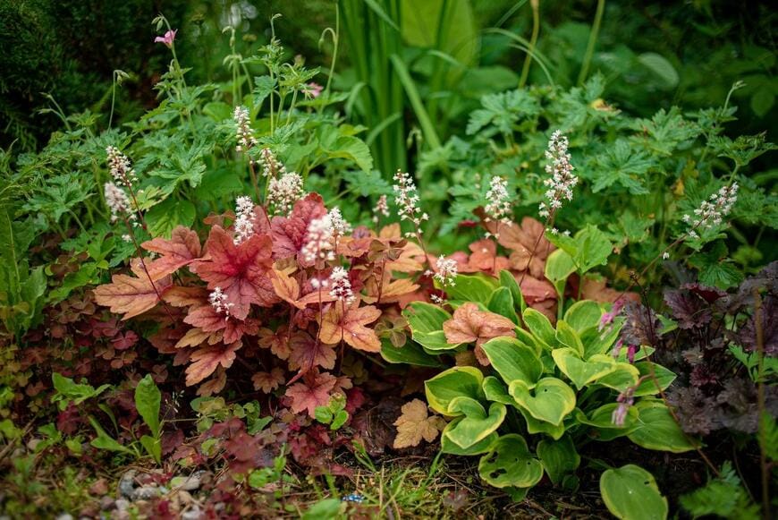 Shebeko/shutterstock.com