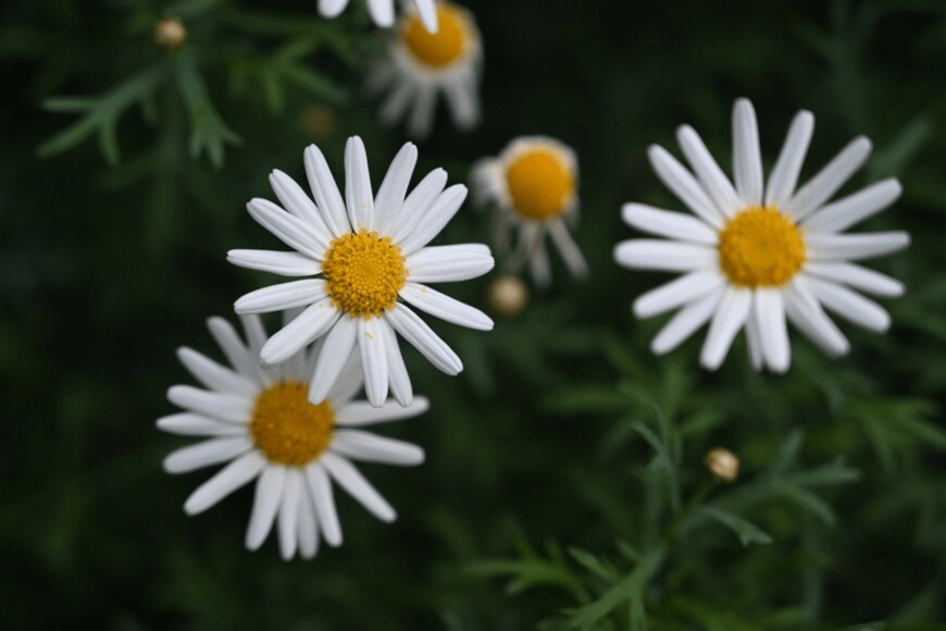 Azad Jain/istockphoto.com