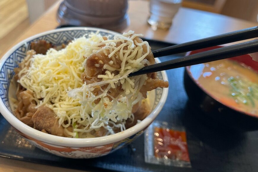 吉野家【牛丼以外のどんぶりメニュー】がっつり系3選。腹ぺこ胃袋をしっかり充電！【写真付きレポート】