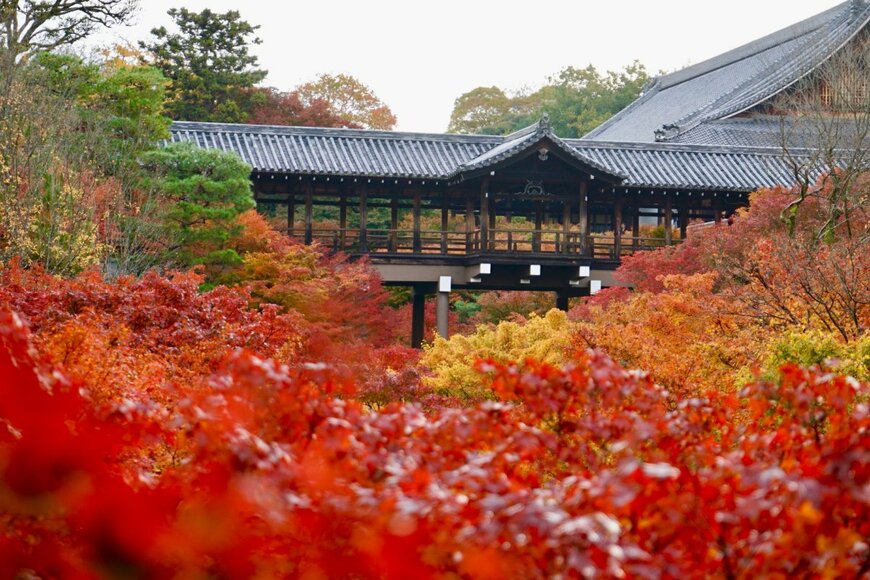 Plasill_Wuttiwat/shutterstock.com