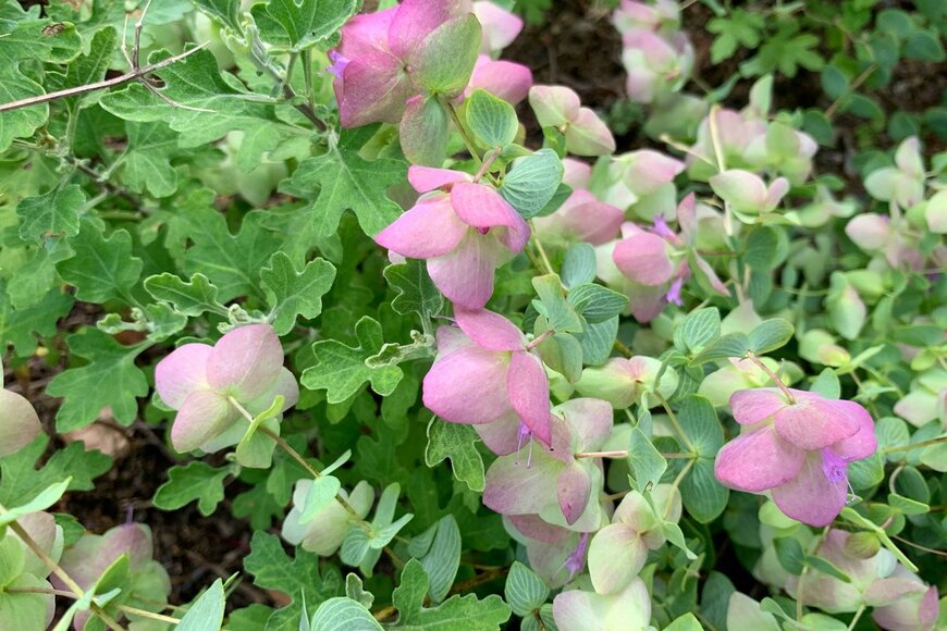 Nokzd/Shutterstock.com