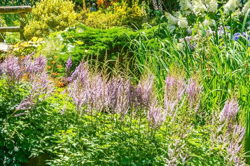 gmc3101/istockphoto.com