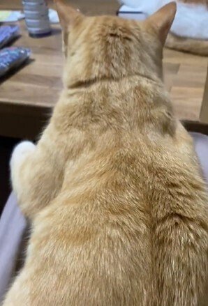 出所：@luna7taka9