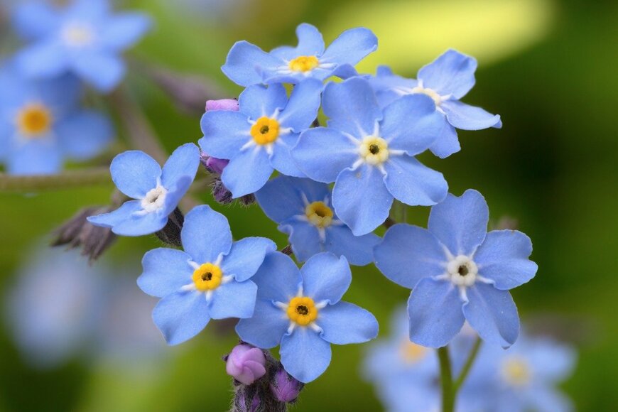 lior2/istockphoto.com