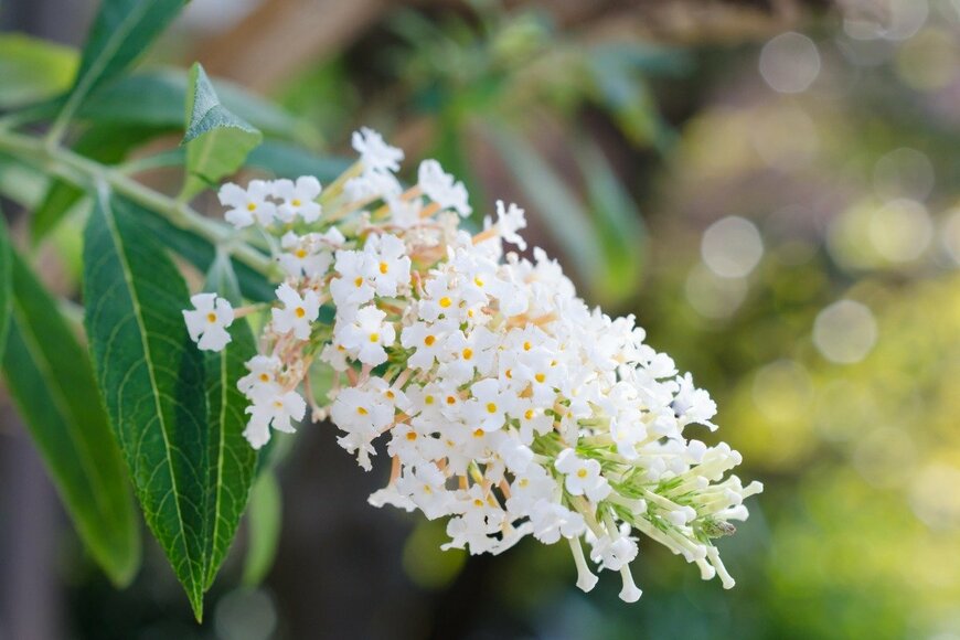 LFO62/istockphoto.com