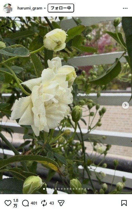 出所：栗原はるみのInstagram（＠harumi_gram） 参照日：2026年4月6日