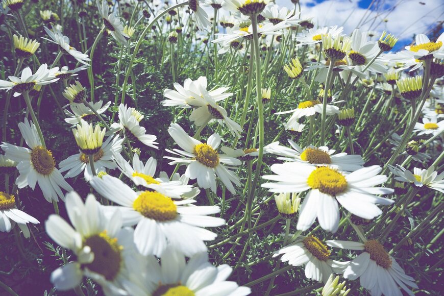 Katibusnello/Shutterstock.com