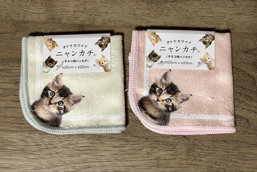 筆者撮影（セリア、ニャンカチ）