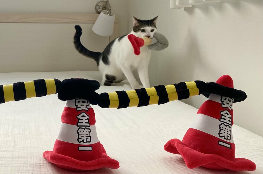 出所：@Saeroyi_cat