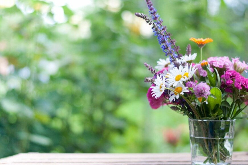 Yulia Sushkova/istockphoto.com