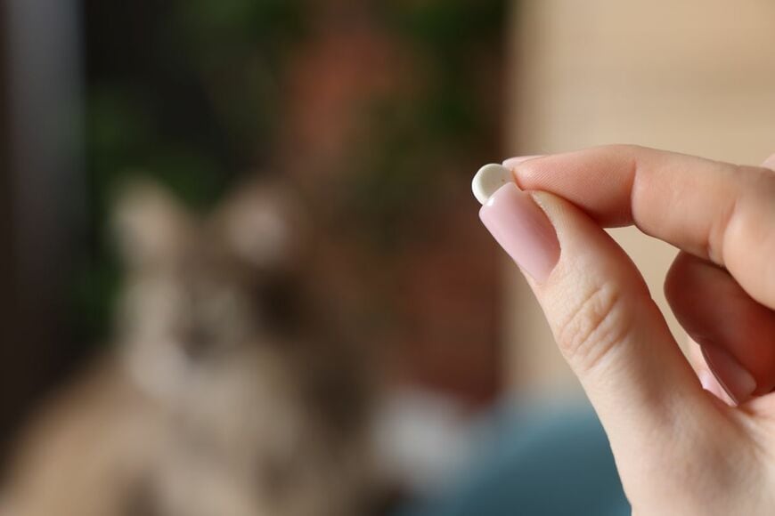 薬を「飲んだフリする猫」　明らかに飲んでいないお顔に笑ってしまう