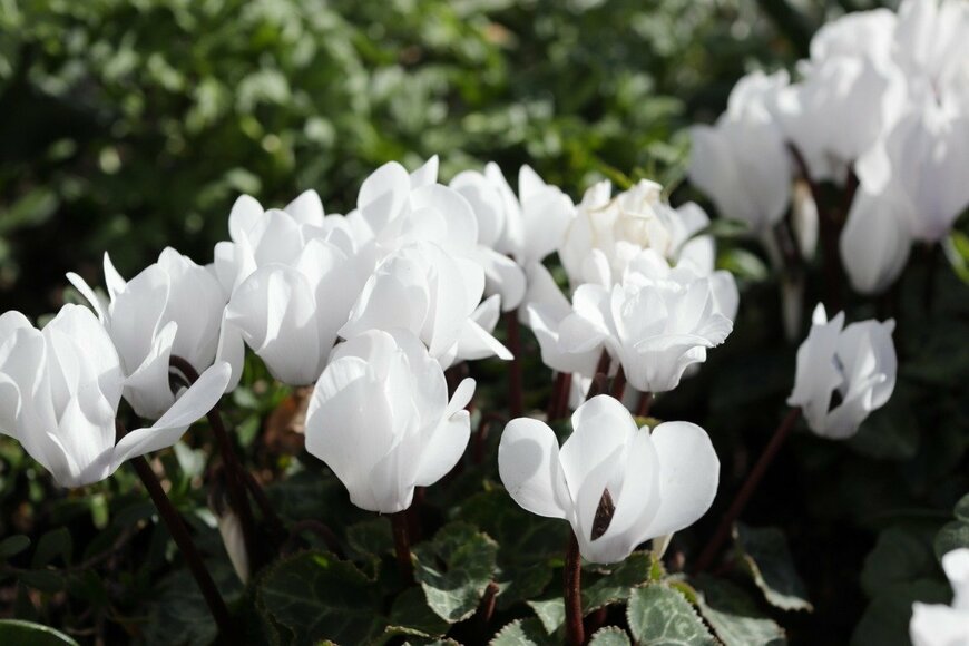 Shin/istockphoto.com