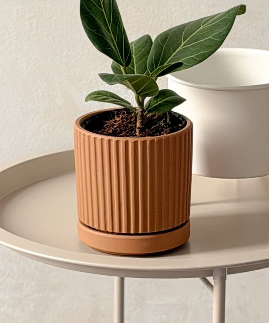 出所:パルグループ公式ファッション通販サイト ラインポット3号