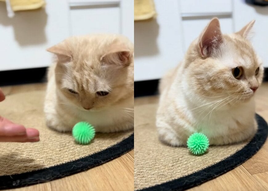 投稿の画像