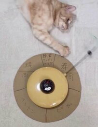 【おまかせスタイル！】何を食べるかは猫次第！？飼い主さんの食事のメニューを決める「かわいい猫ルーレット」にほっこり