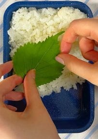 「とろ〜りチーズが幸せ！」同棲中の彼に作る愛情たっぷりの「節約弁当」が美味しそう！