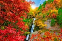 次の支給日は12月15日【障害年金】「どの障がいが多く支給される？」《新規裁定・再認定》支給件数で確認