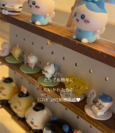 投稿の画像