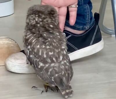 投稿動画のワンシーン