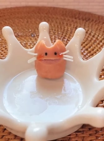 投稿動画のワンシーン