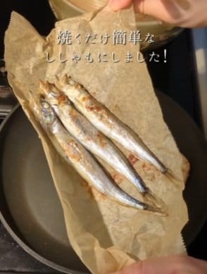 投稿動画のワンシーン