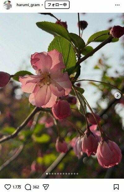 栗原はるみのInstagram投稿