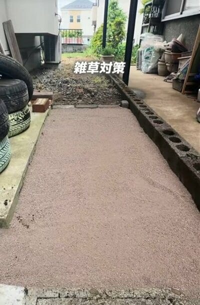 投稿の画像