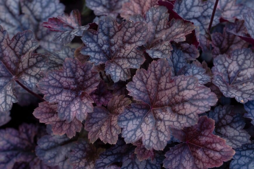 Summer 1810/istockphoto.com