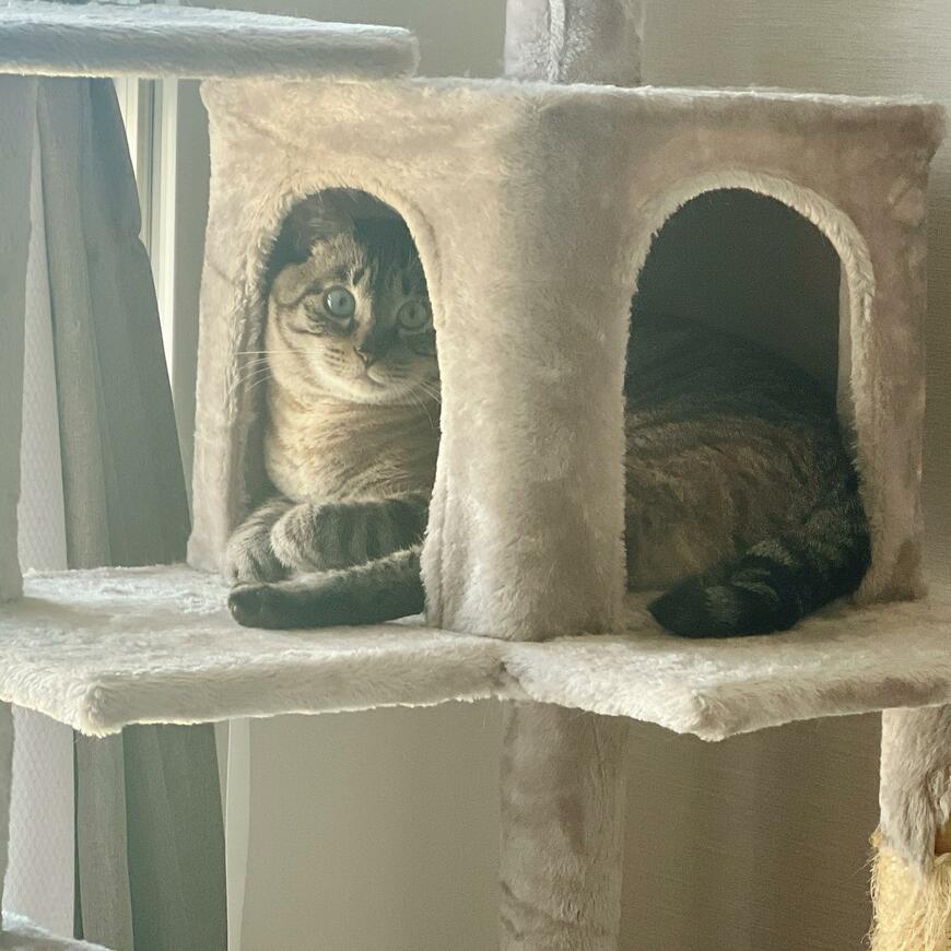 出所：@monet___1213