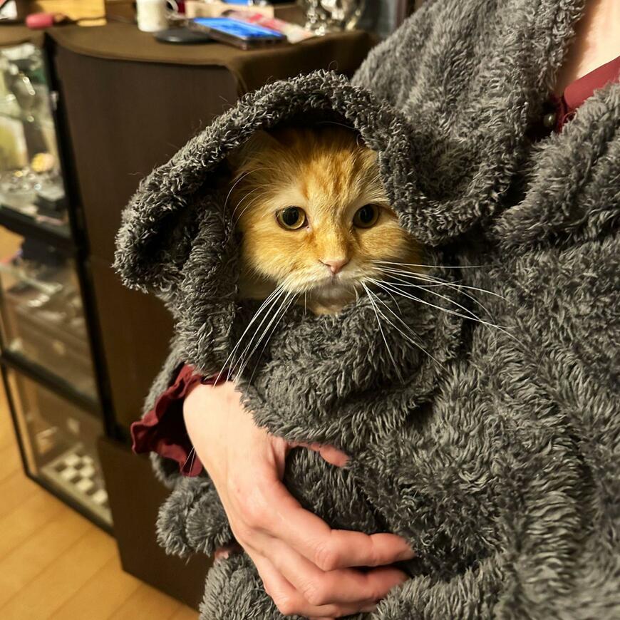 出所：@NEKOLAND13