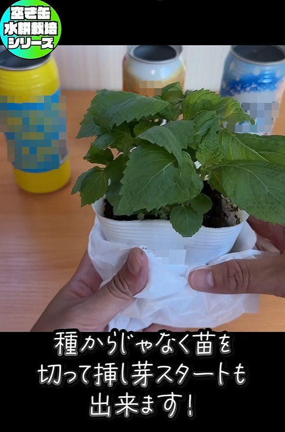 出所：@mikanbo-ya1987