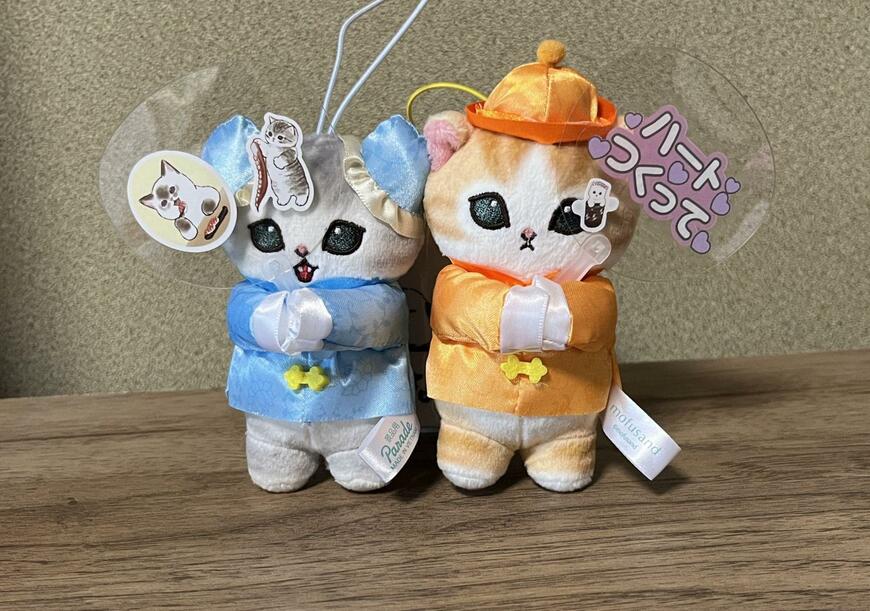 筆者撮影（セリア、透明miniうちわ だ円型）