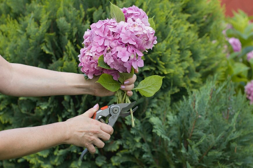 Zbynek Pospisil/istockphoto.com