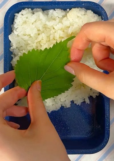「とろ〜りチーズが幸せ！」同棲中の彼に作る愛情たっぷりの「節約弁当」が美味しそう！