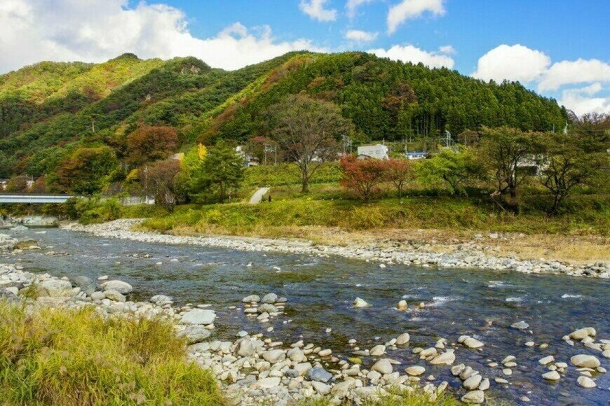 兵庫県の川で見つけた「流木のような物」が話題　驚きの正体に思わず二度見