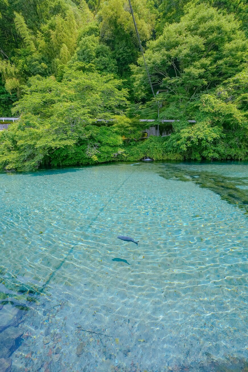 出所：@shiki_pics