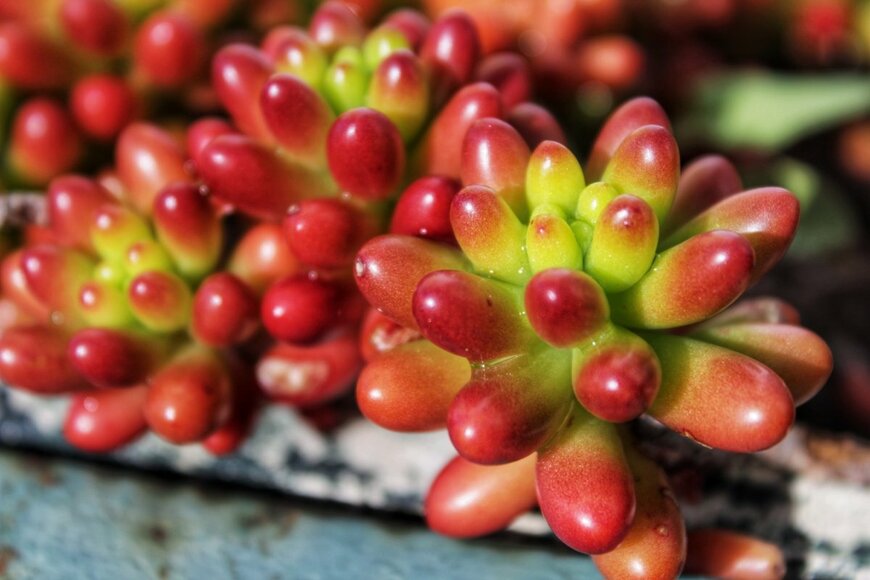 Sonia Bonet/shutterstock.com