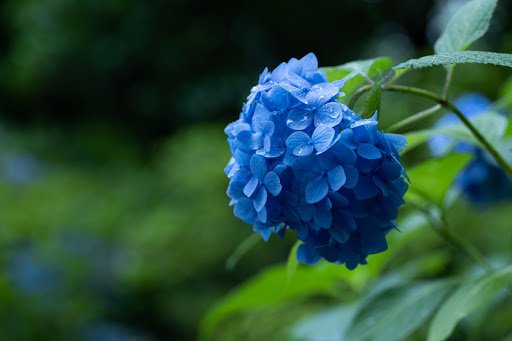 KO-TORI/shutterstock.com