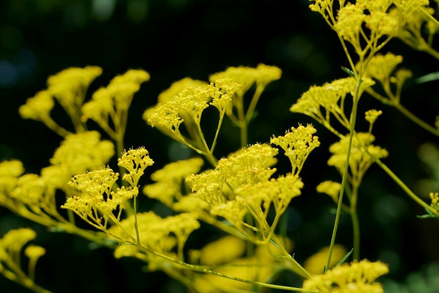 High Mountain/shutterstock.com