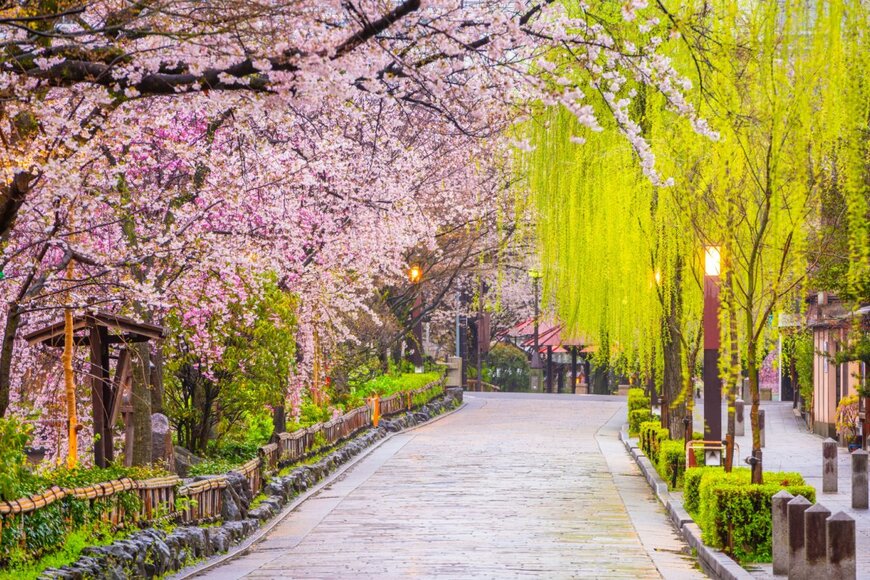 【2023年】京都の絶景！桜スポット7選。夜の散歩&夜間拝観ができる場所も紹介
