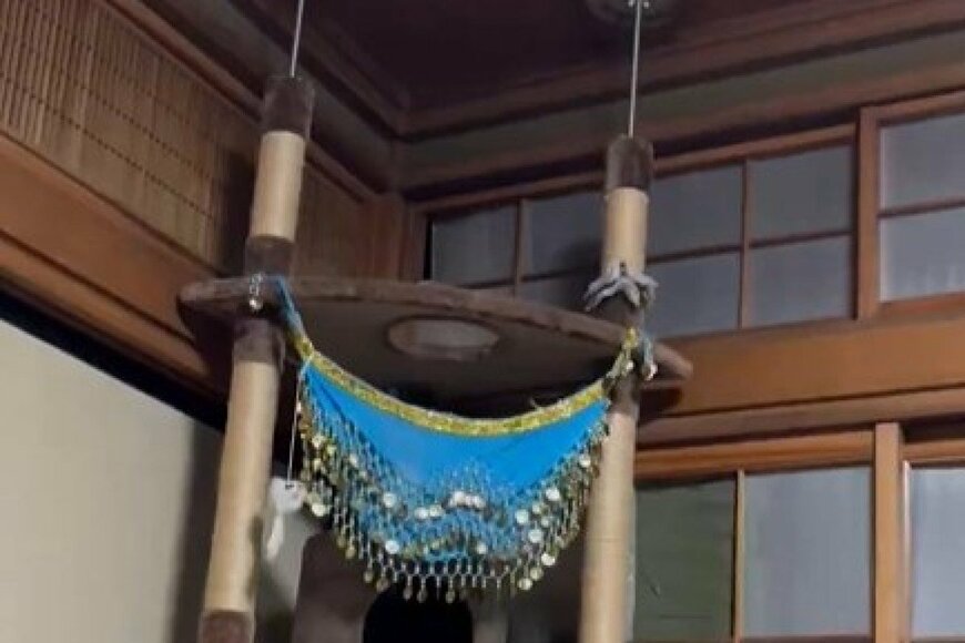 猫用のドアが作られた