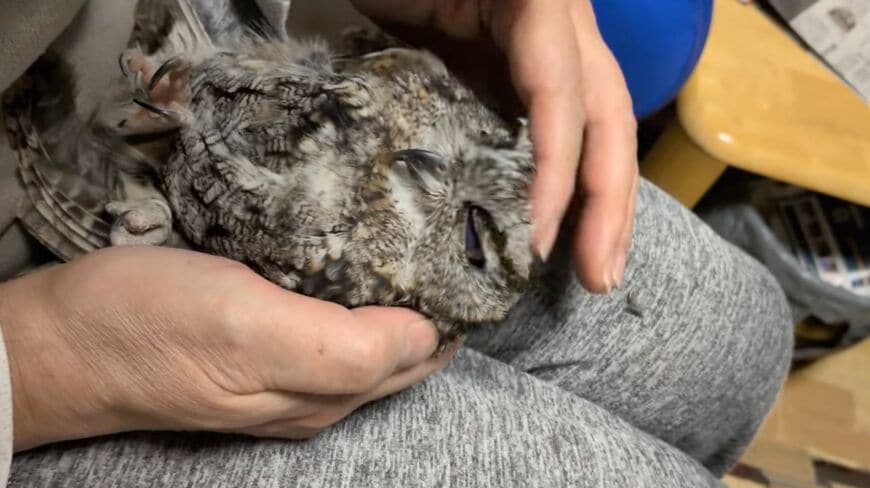 投稿動画のワンシーン